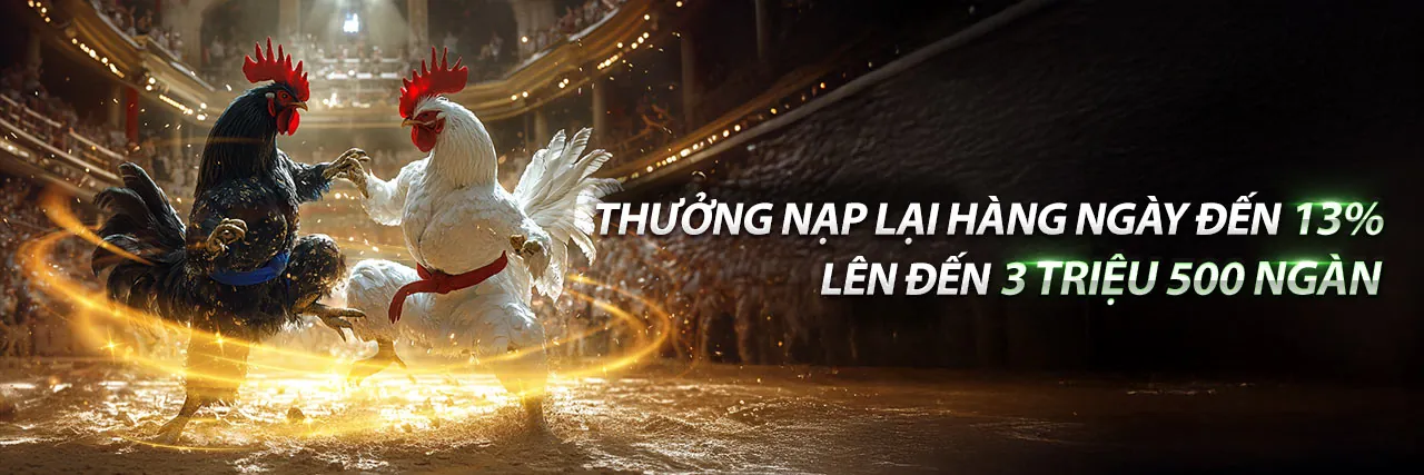 Tổng quan nền tảng ano88 chính thức 2026