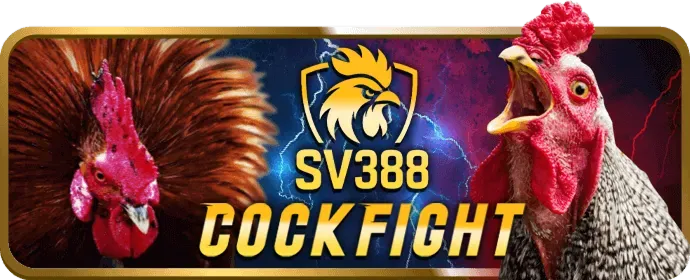 Chương trình VIP Ano88 Chính Thức